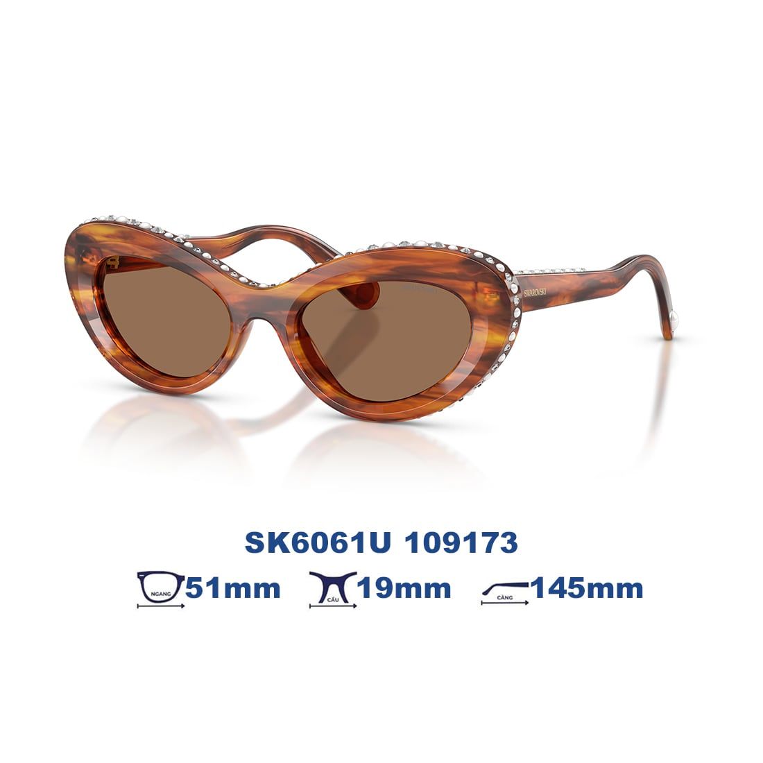 Kính mát Swarovski SK6061U 109173
