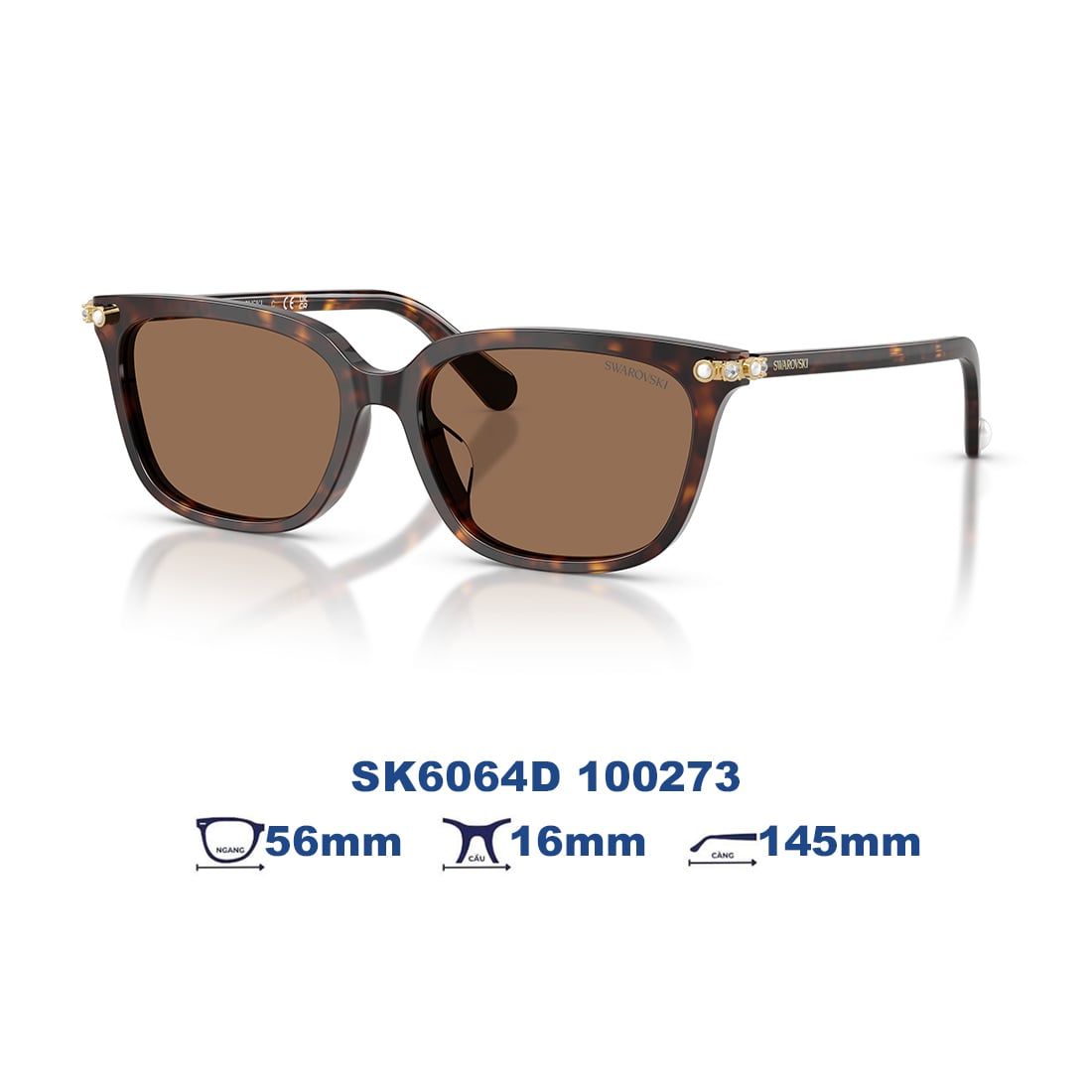 Kính mát Swarovski SK6064D 100273