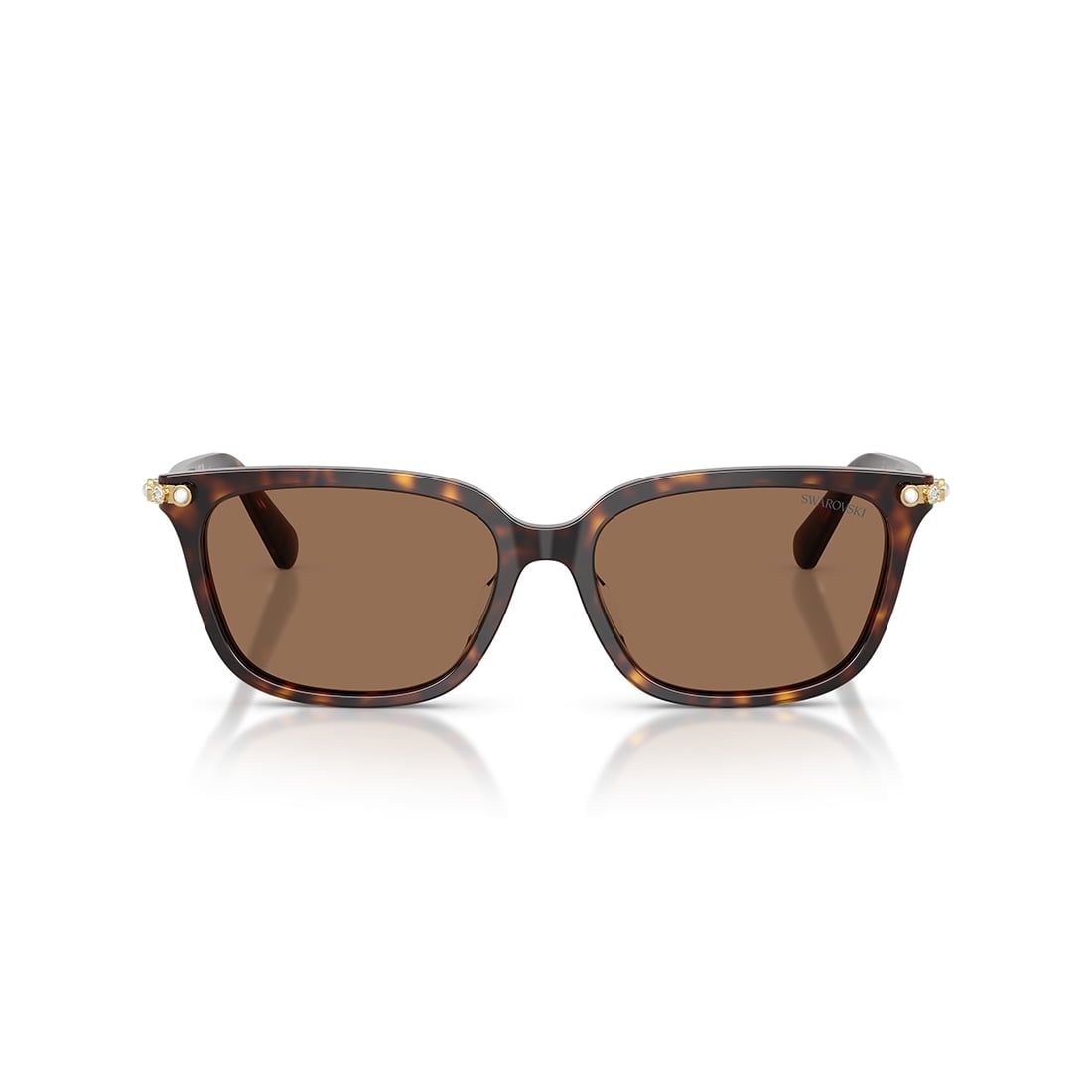 Kính mát Swarovski SK6064D 100273