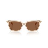 Kính mát Swarovski SK6064D 1034OK