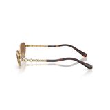 Kính mát Swarovski SK7044 400473