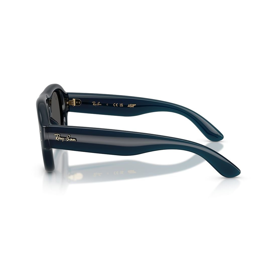 Kính mát RAYBAN RB4925 689587