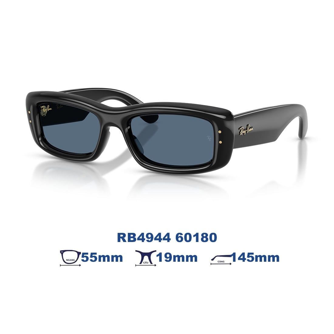 Kính mát RAYBAN RB4944 60180