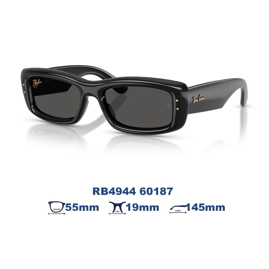 Kính mát RAYBAN RB4944 60187