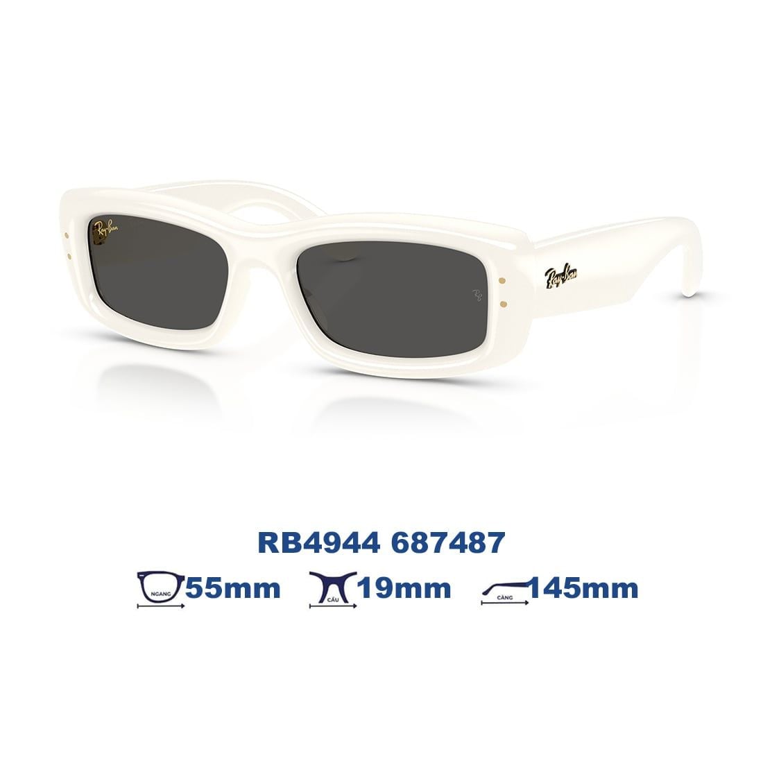 Kính mát RAYBAN RB4944 687487