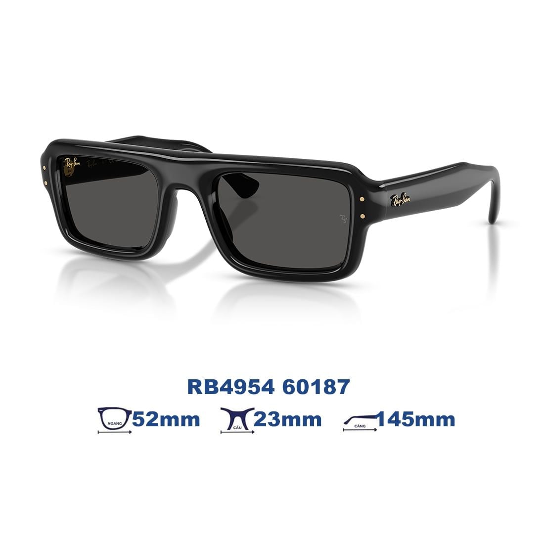 Kính mát RAYBAN RB4954 60187