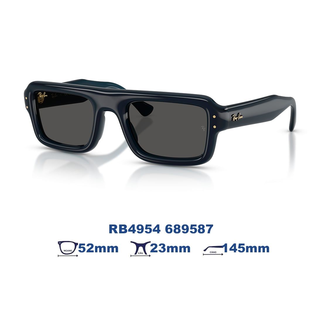 Kính mát RAYBAN RB4954 689587