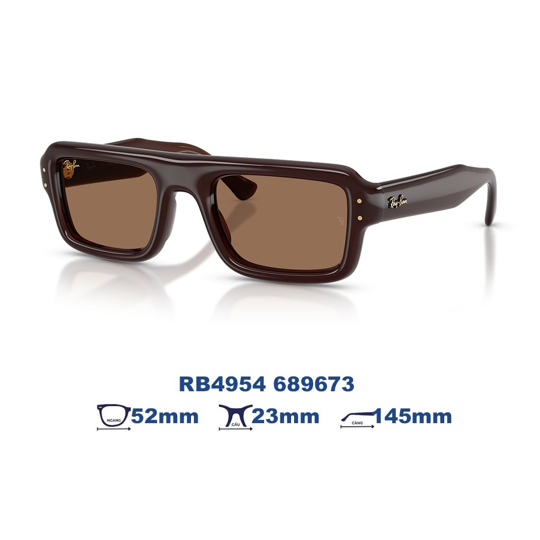 Kính mát RAYBAN RB4954 689673