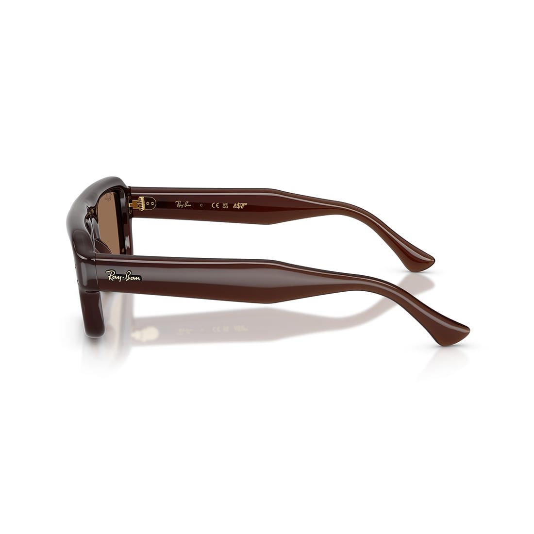 Kính mát RAYBAN RB4954 689673