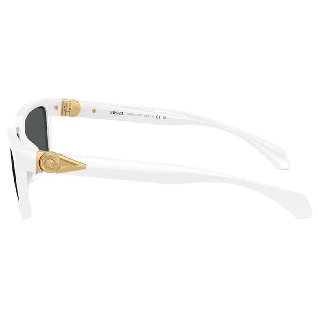 Kính mát VERSACE MOD4490U 314/87