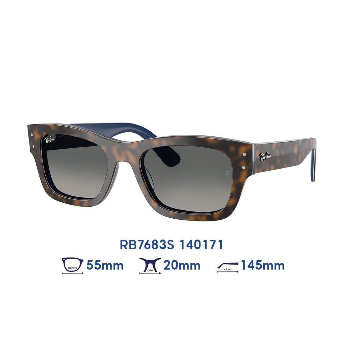 Kính mát RAYBAN RB7683S 140171