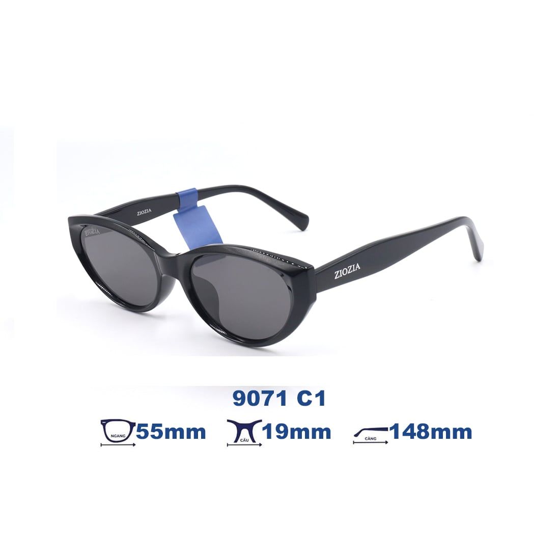  Kính mát Ziozia 9071 C1 