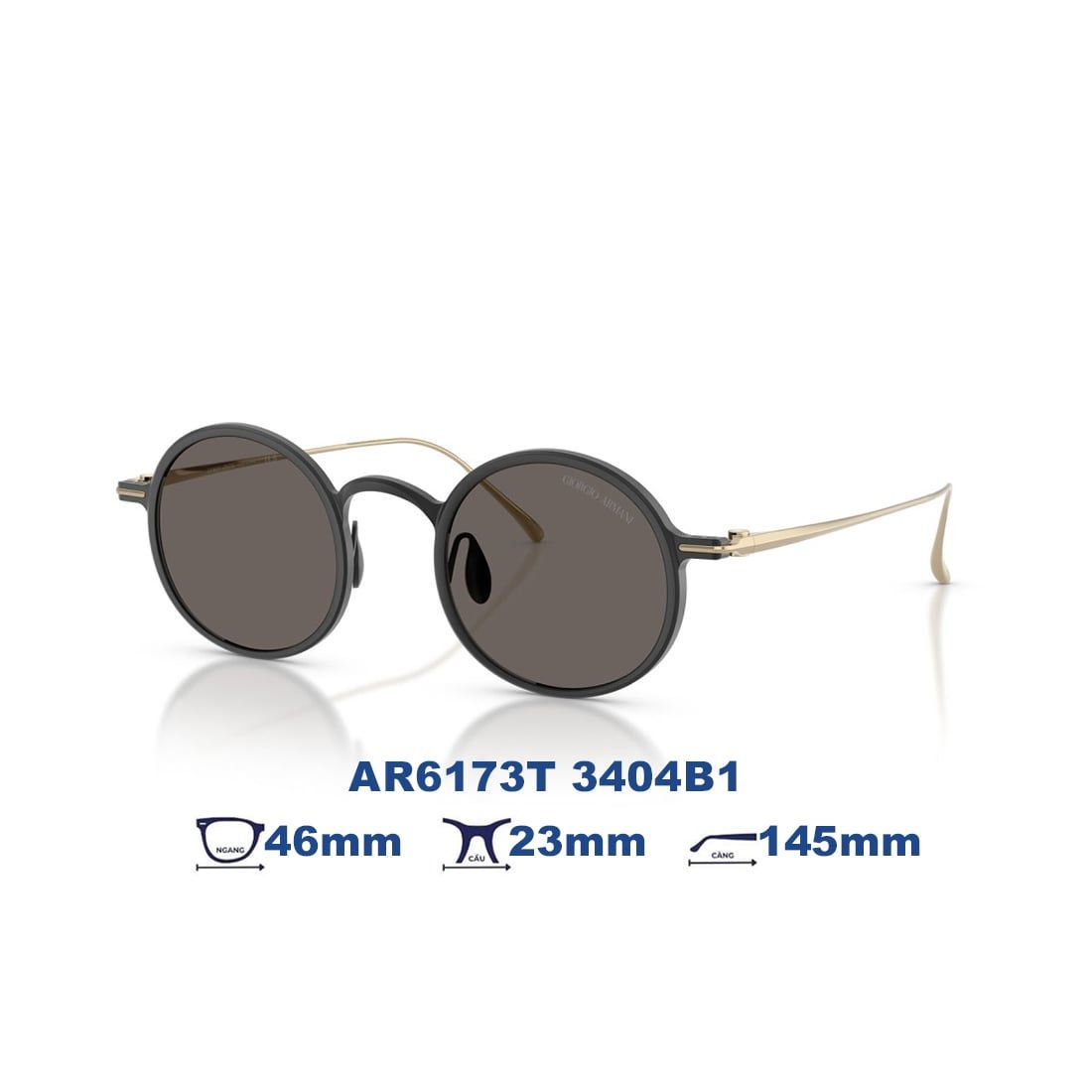  Kính mát Giorgio Armani AR6173T 3404B1 