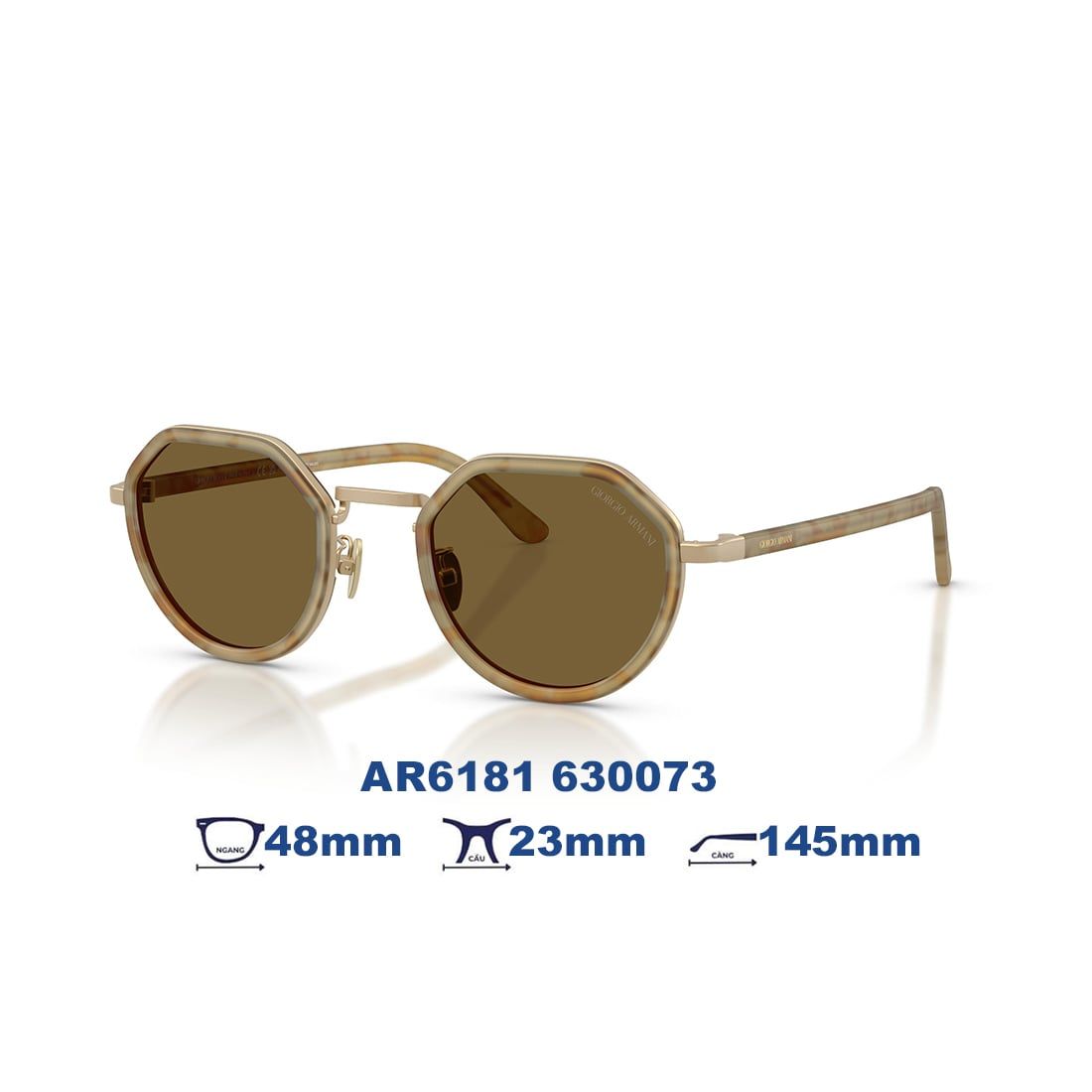  Kính mát Giorgio Armani AR6181 630073 