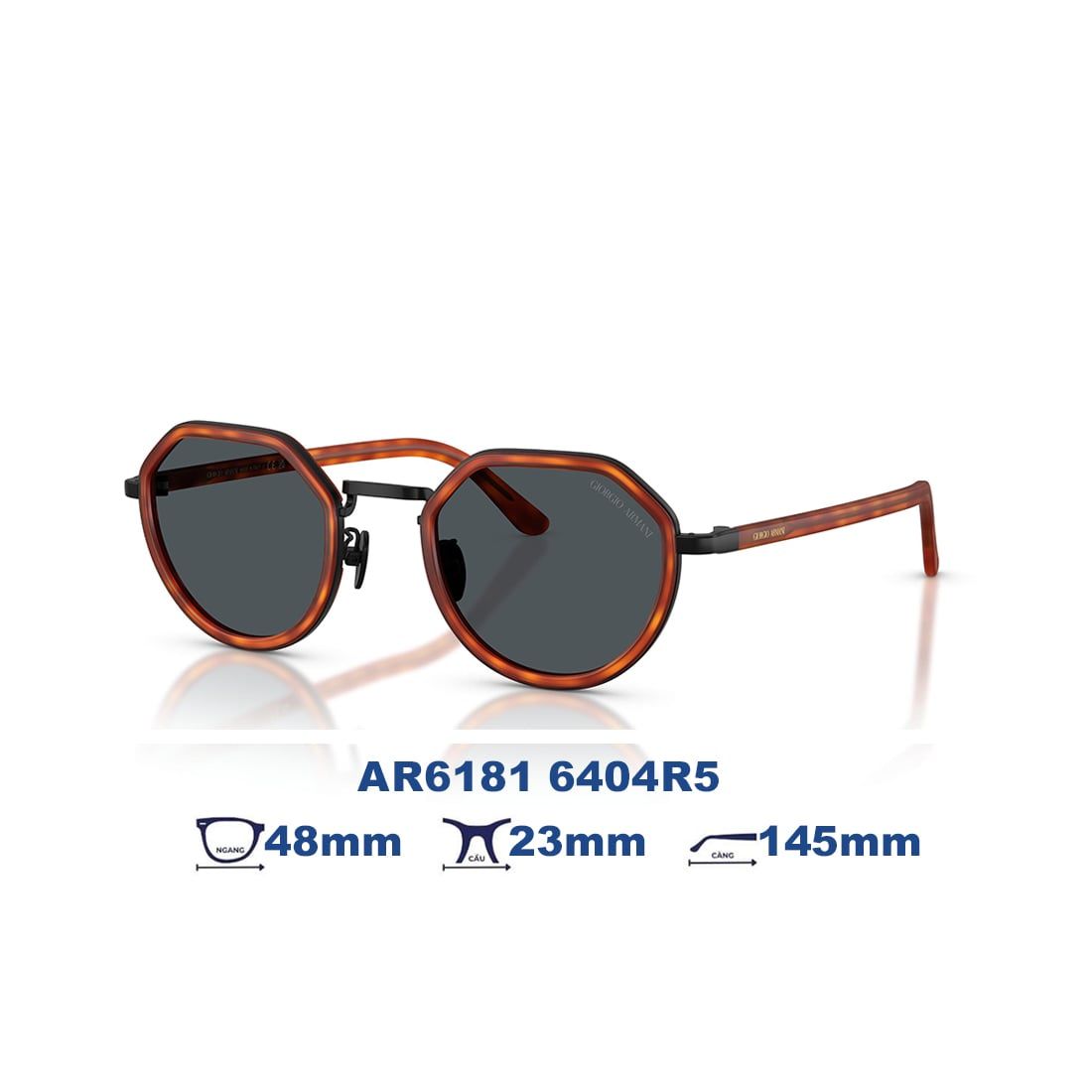  Kính mát Giorgio Armani AR6181 6404R5 