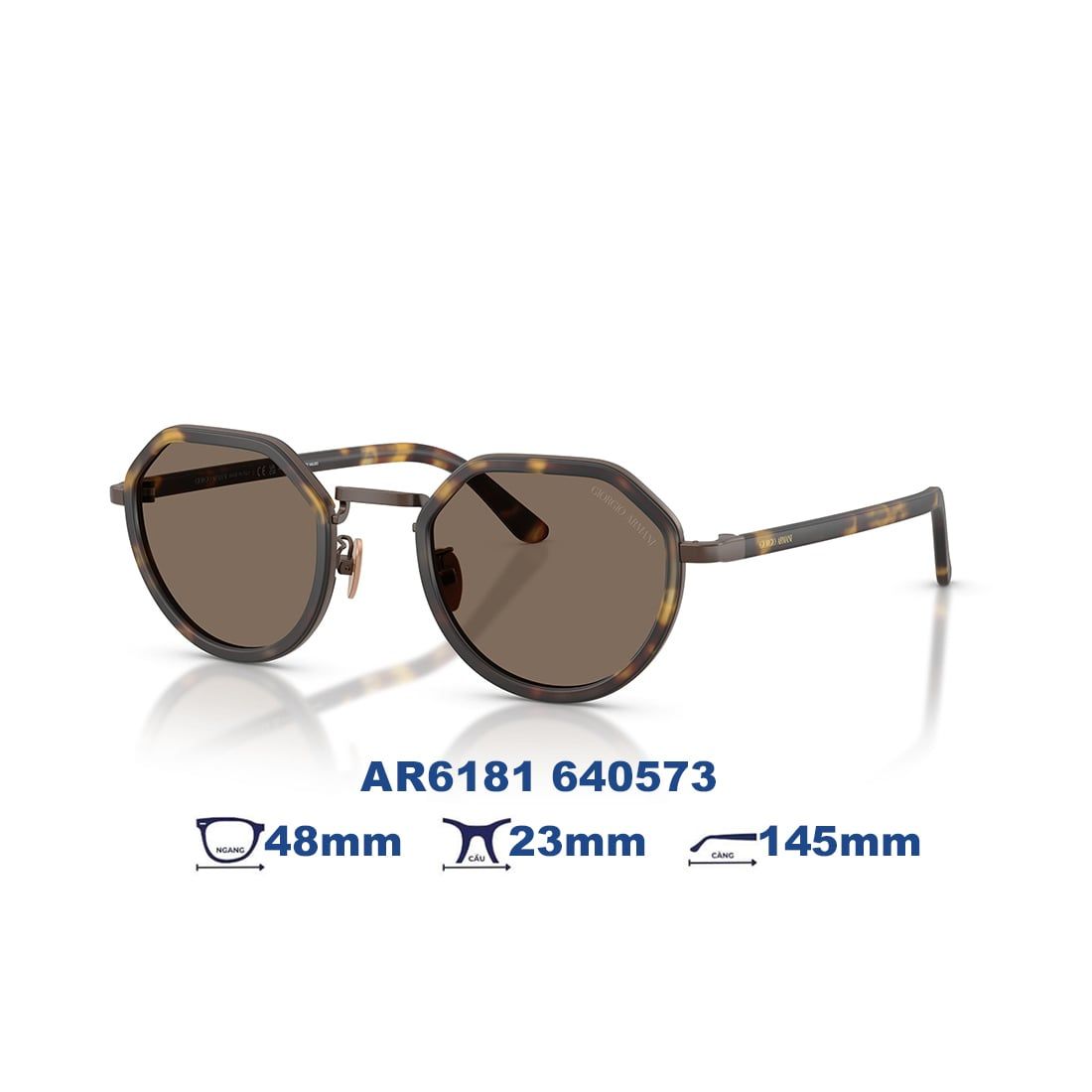  Kính mát Giorgio Armani AR6181 640573 