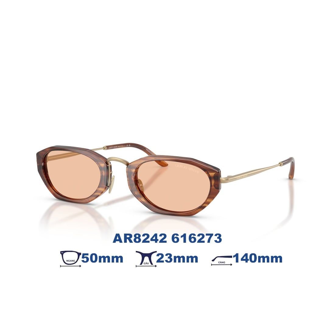  Kính mát Giorgio Armani AR8242 616273 