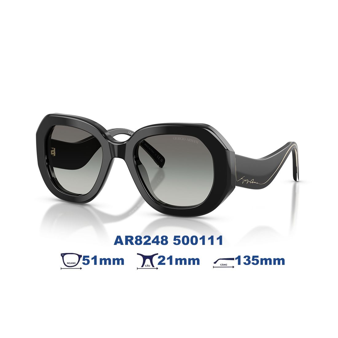  Kính mát Giorgio Armani AR8248 500111 