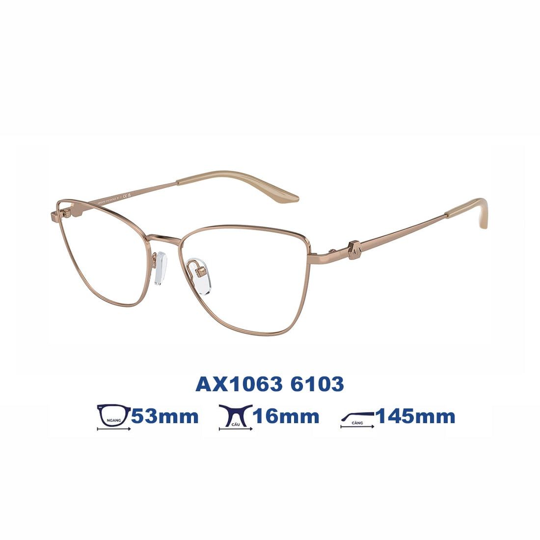  Gọng kính Armani Exchange AX1063 6103 