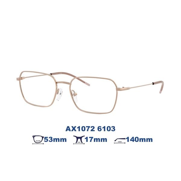 Gọng kính Armani Exchange AX1072 6103