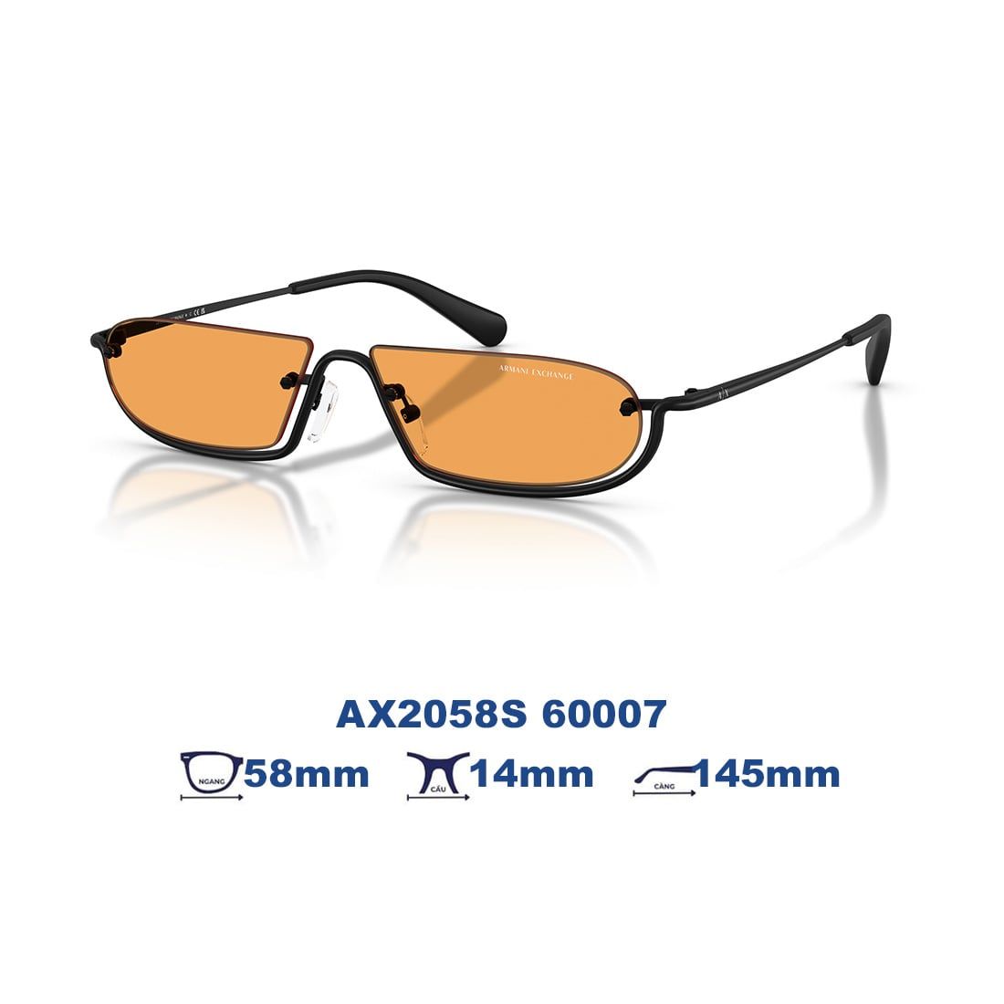Kính mát Armani Exchange AX2058S 60007