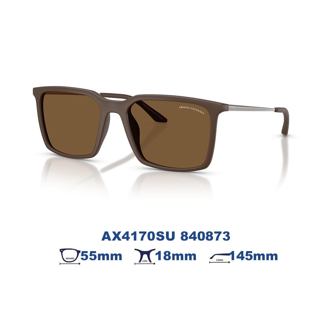 Kính mát Armani Exchange AX4170SU 840873