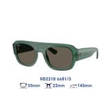 Kính mát RAYBAN RB2218 6681/3