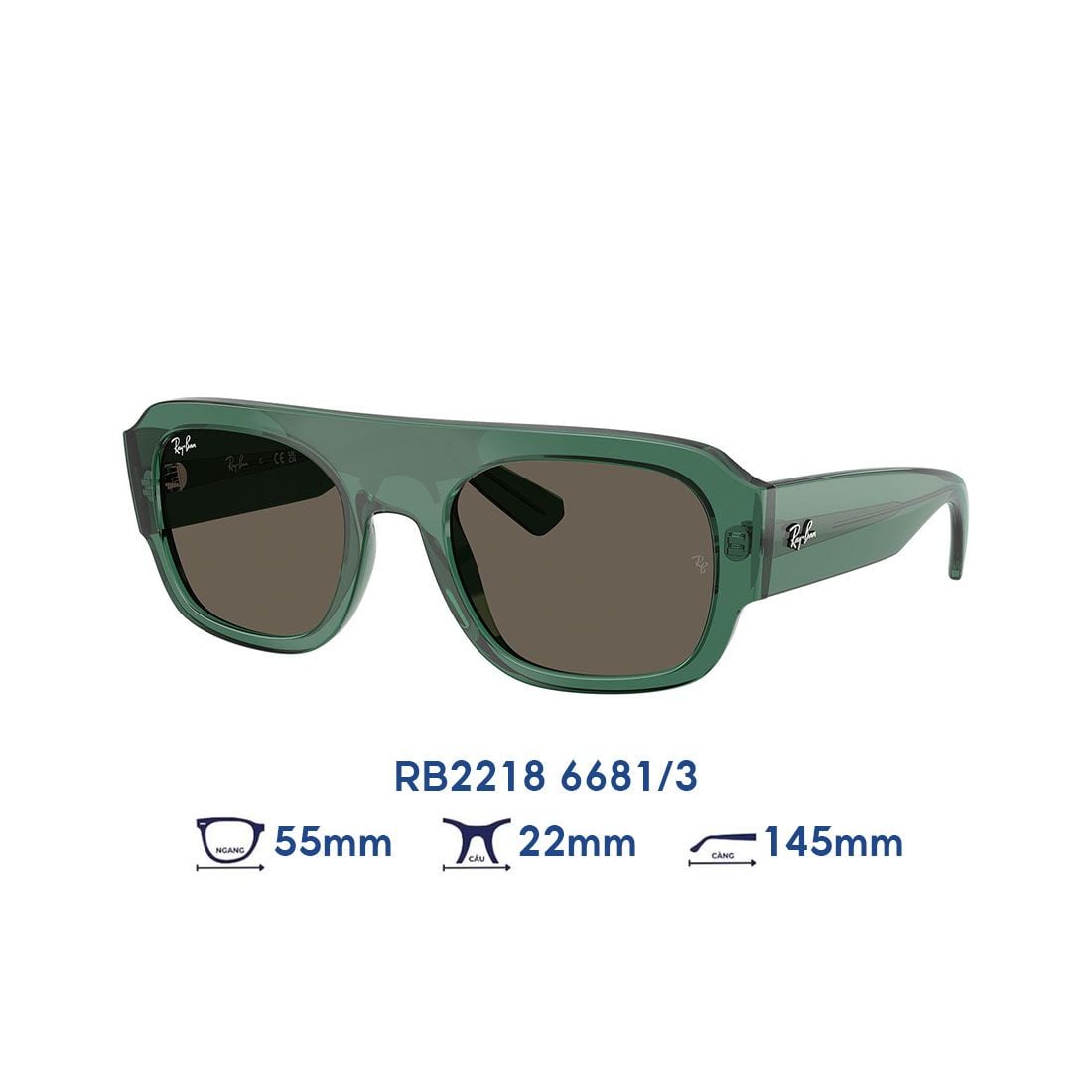 Kính mát RAYBAN RB2218 6681/3