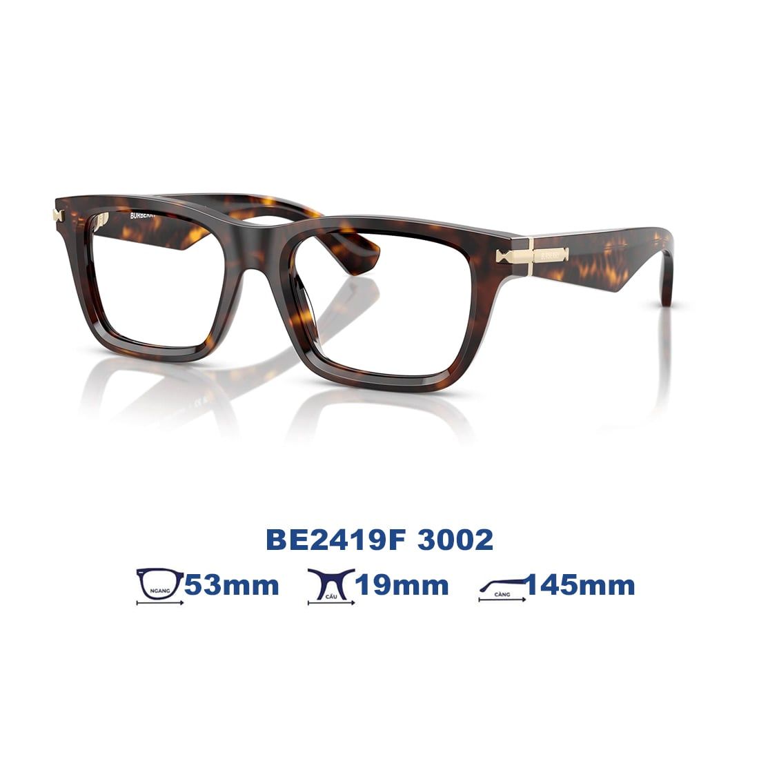 Gọng kính BURBERRY BE2419F 3002
