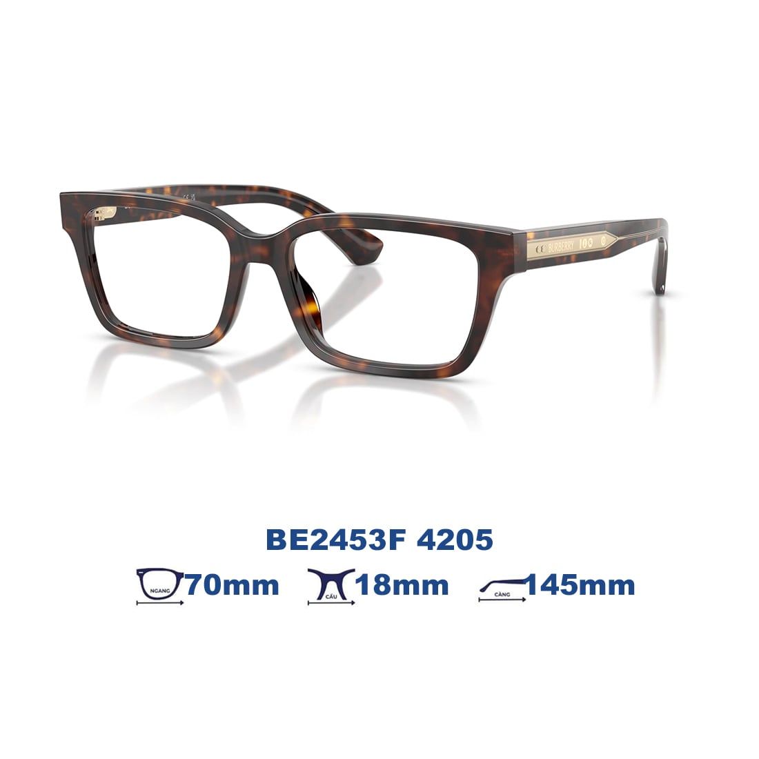 Gọng kính BURBERRY BE2453F 4205