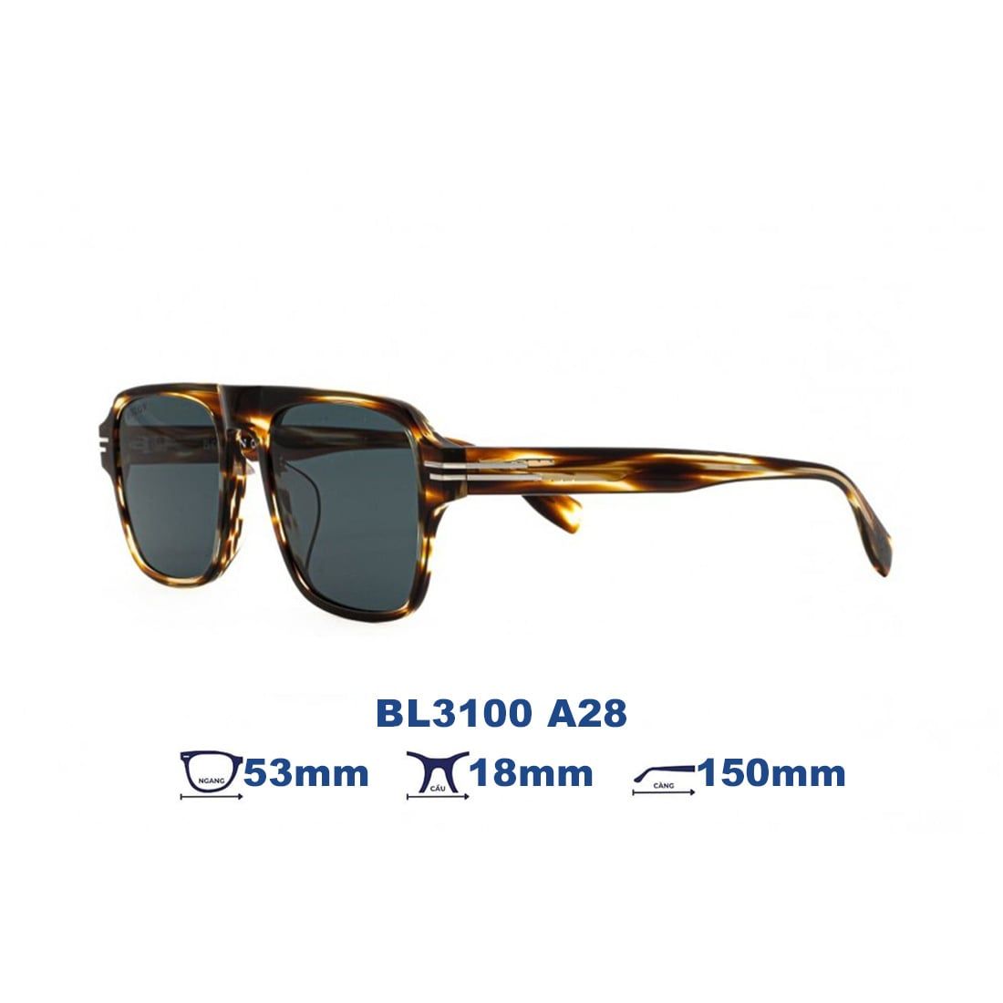 Gọng kính BOLON BL3100 A28