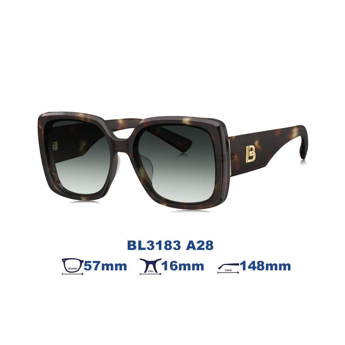 Kính mát BOLON BL3183 A28