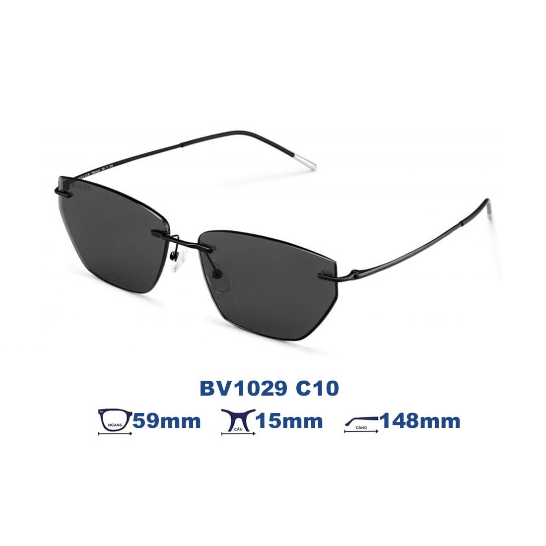 Kính mát BOLON BV1029 C10