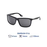  Kính mát BMW BW0065H 01A 