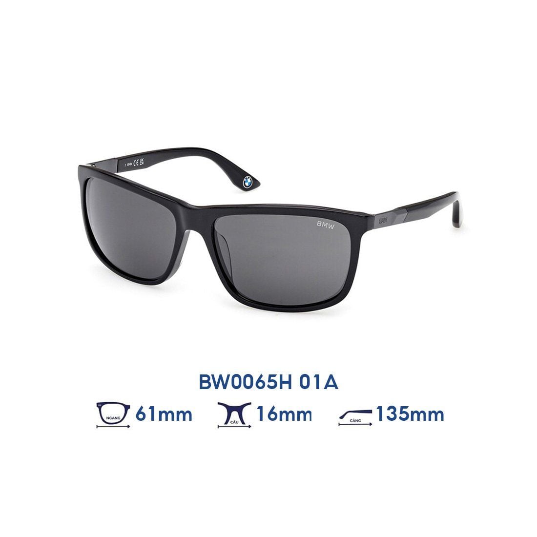  Kính mát BMW BW0065H 01A 