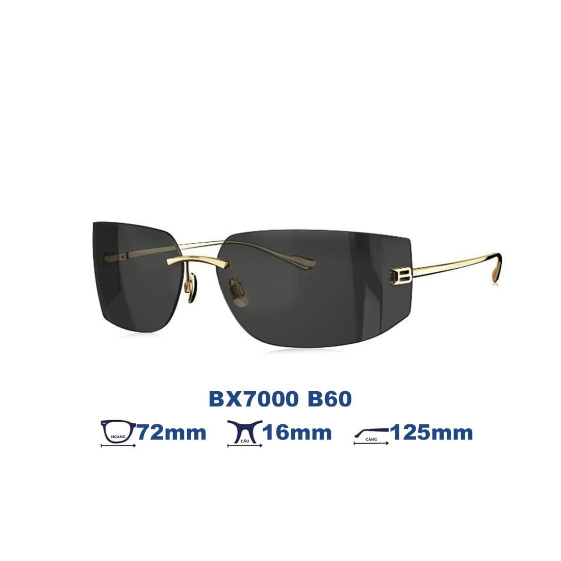 Kính mát BOLON BX7000 B60