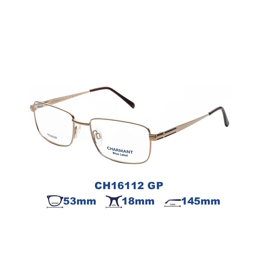  Gọng kính CHARMANT BLUE CH16112 GP 