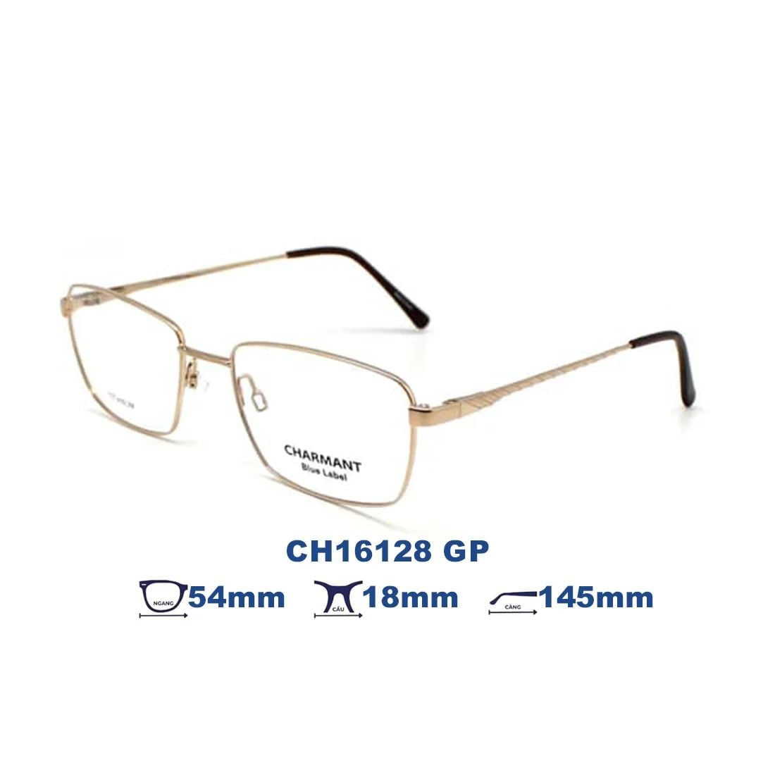 Gọng kính CHARMANT BLUE CH16128 GP