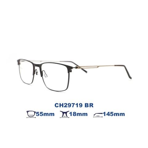 Gọng kính CHARMANT CH29719 BR