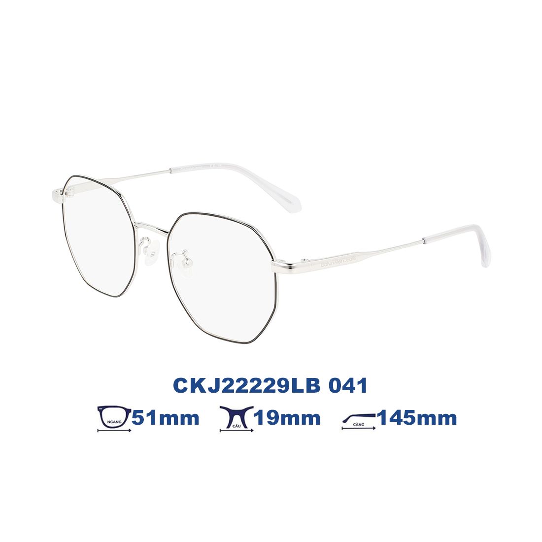  Gọng kính Calvin Klein Jeans CKJ22229LB 041 