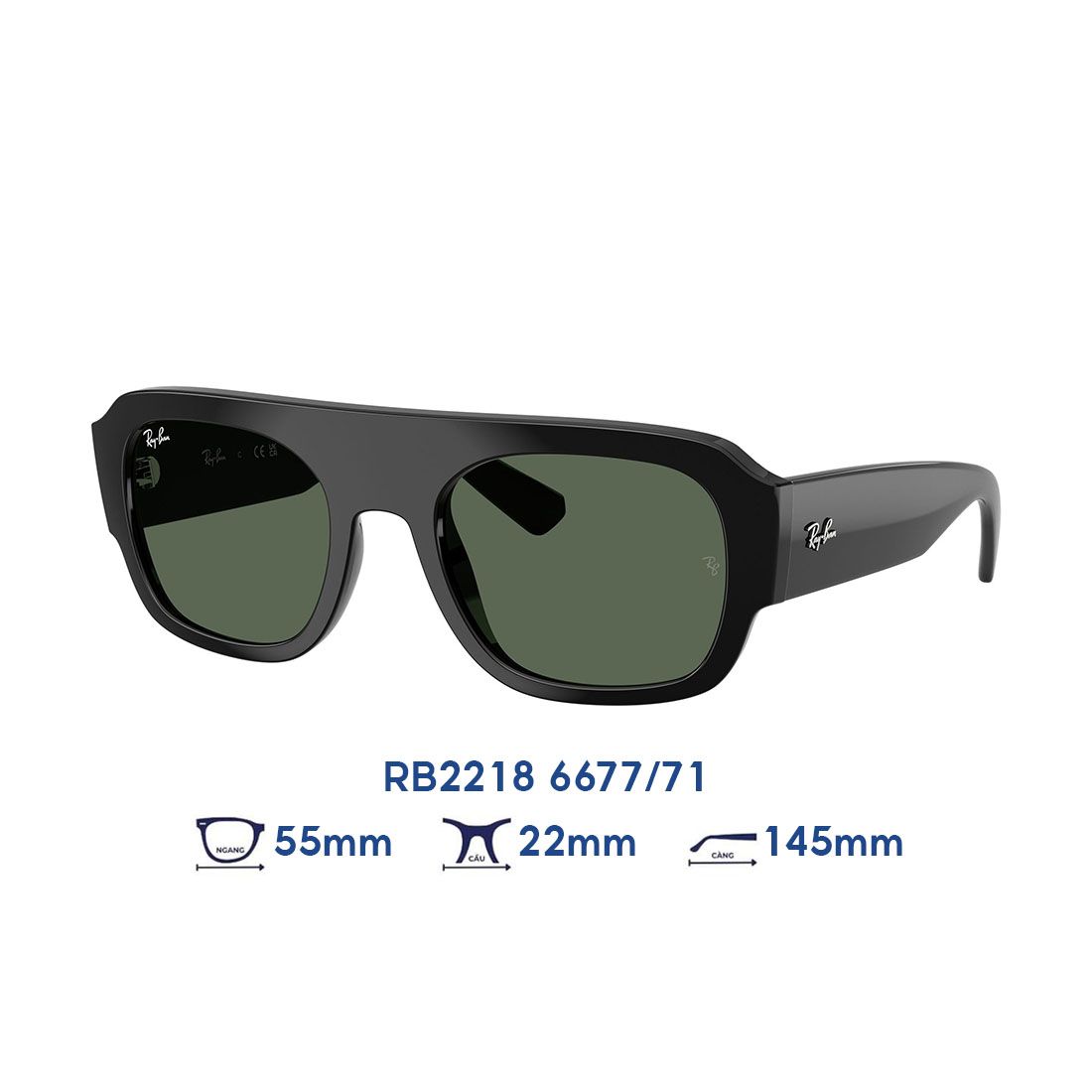 Kính mát RAYBAN RB2218 6677/71