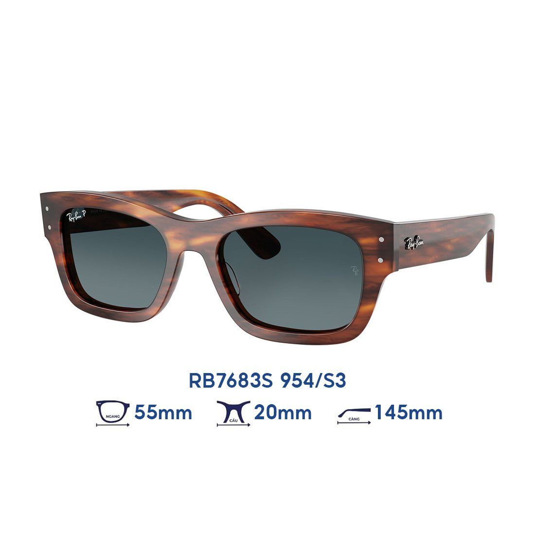 Kính mát RAYBAN RB7683S 954/S3