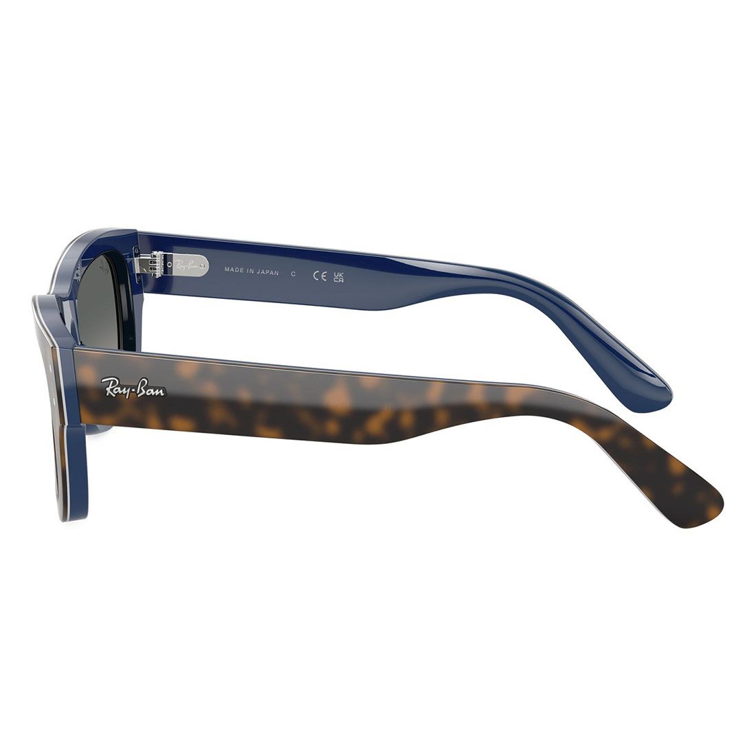 Kính mát RAYBAN RB7683S 140171