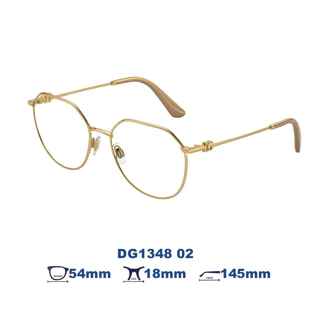 Gọng kính Dolce Gabbana DG1348 02