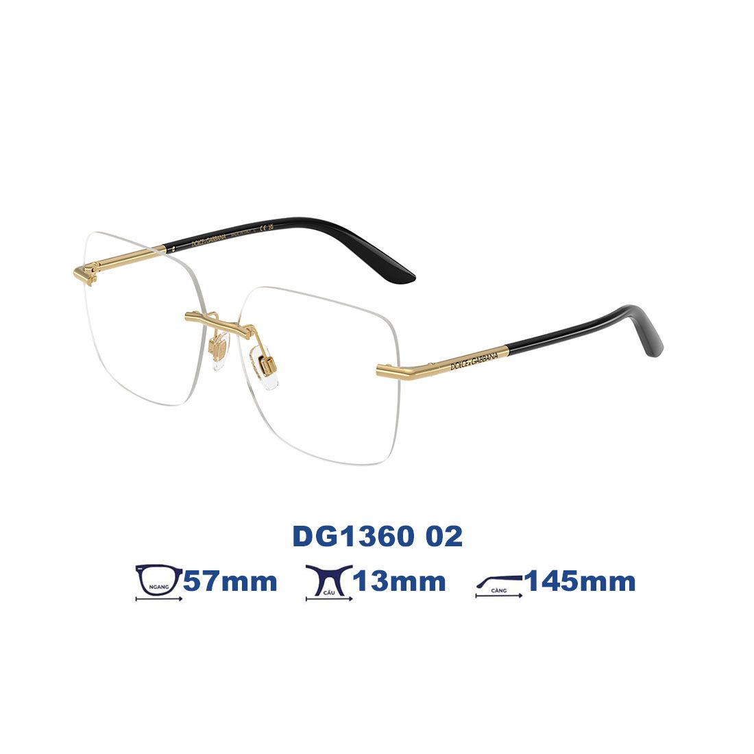 Gọng kính Dolce Gabbana DG1360 02