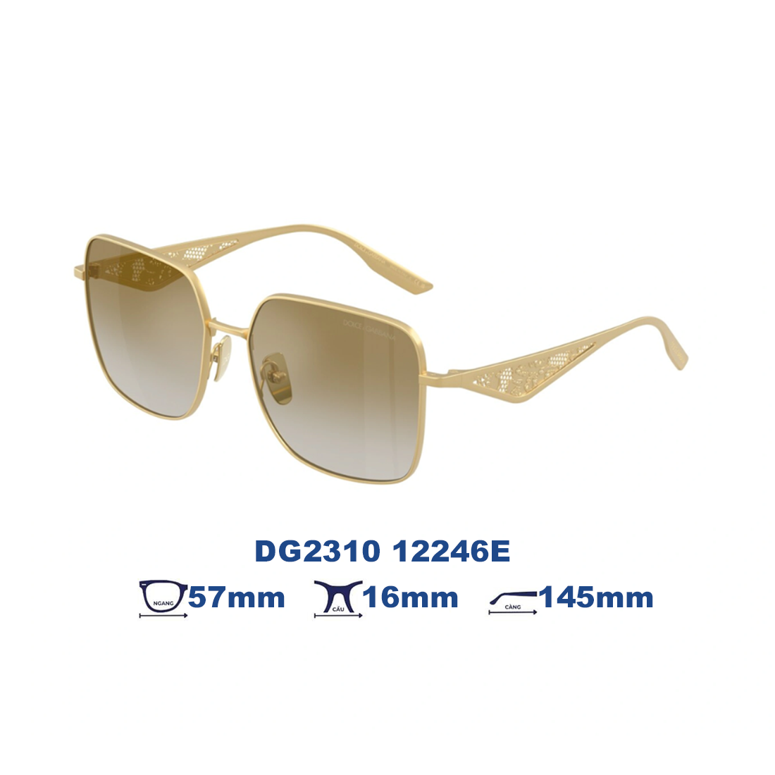  Kính mát Dolce Gabbana DG2310 12246E 