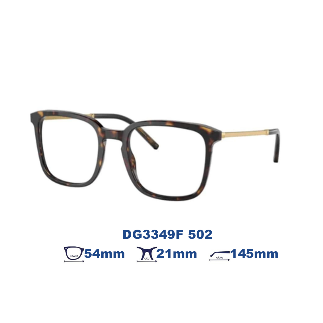  Gọng kính Dolce & Gabbana DG3349F 502 