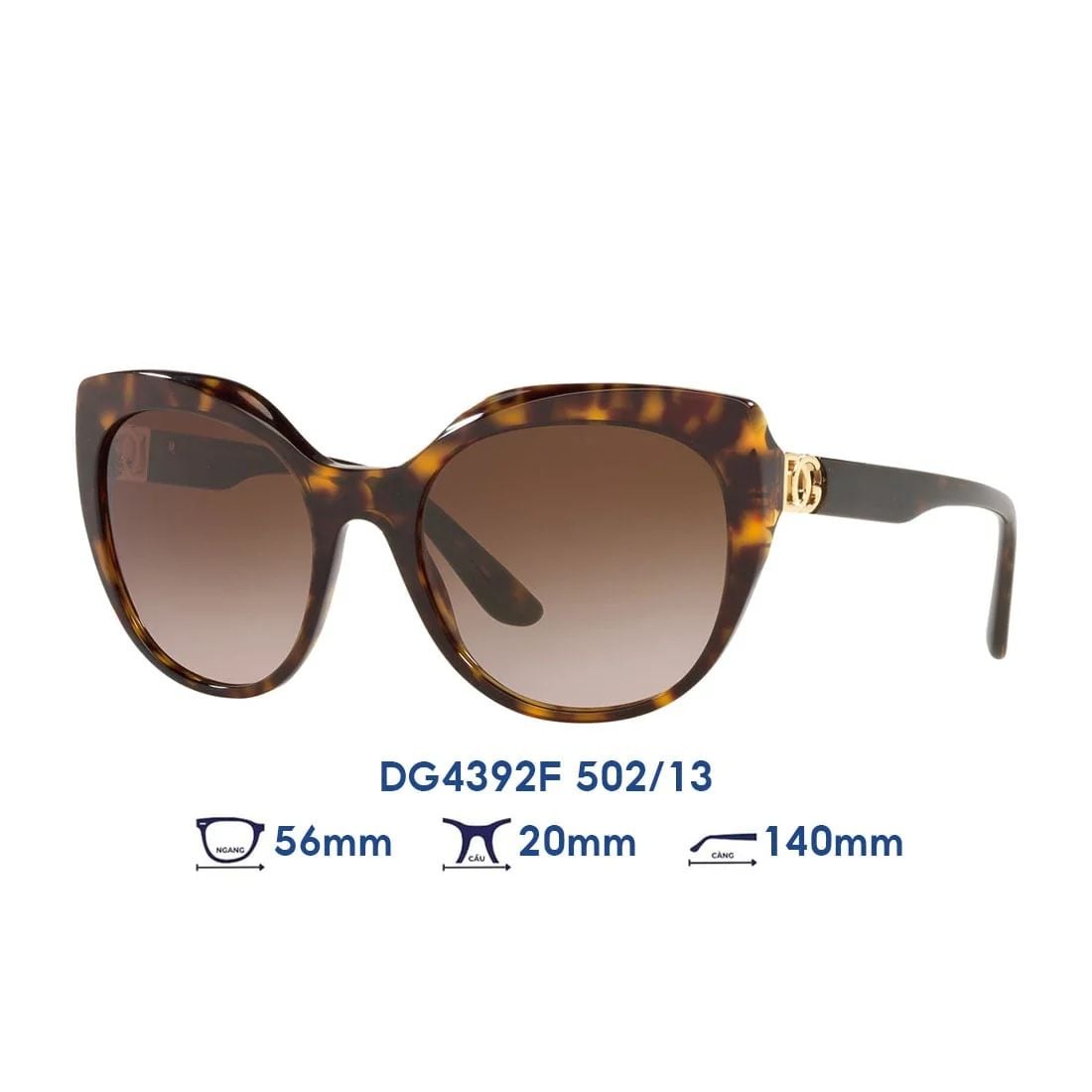 Kính mát Dolce & Gabbana DG4392F 502/13
