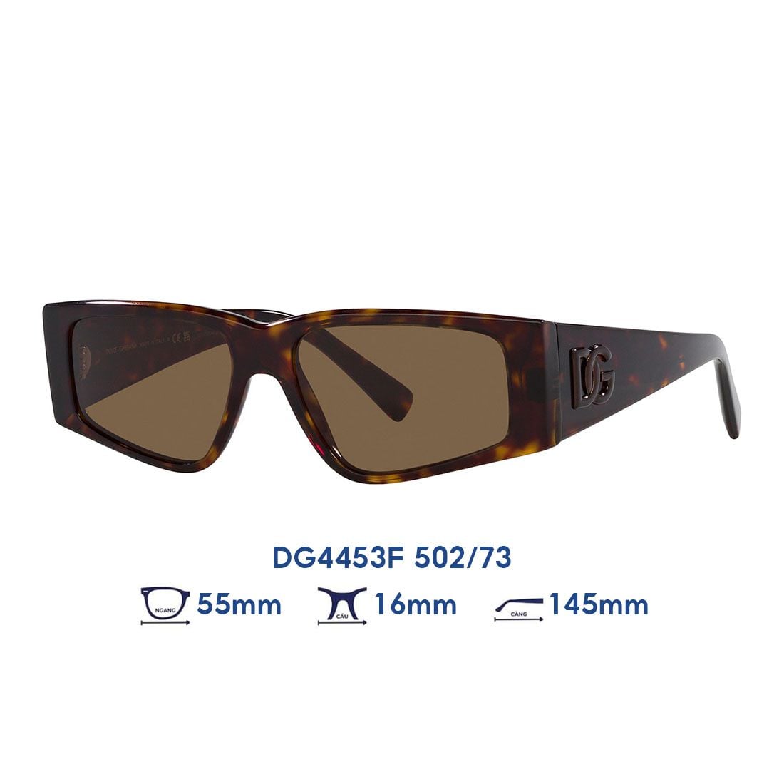 Kính mát Dolce & Gabbana DG4453F 502/73