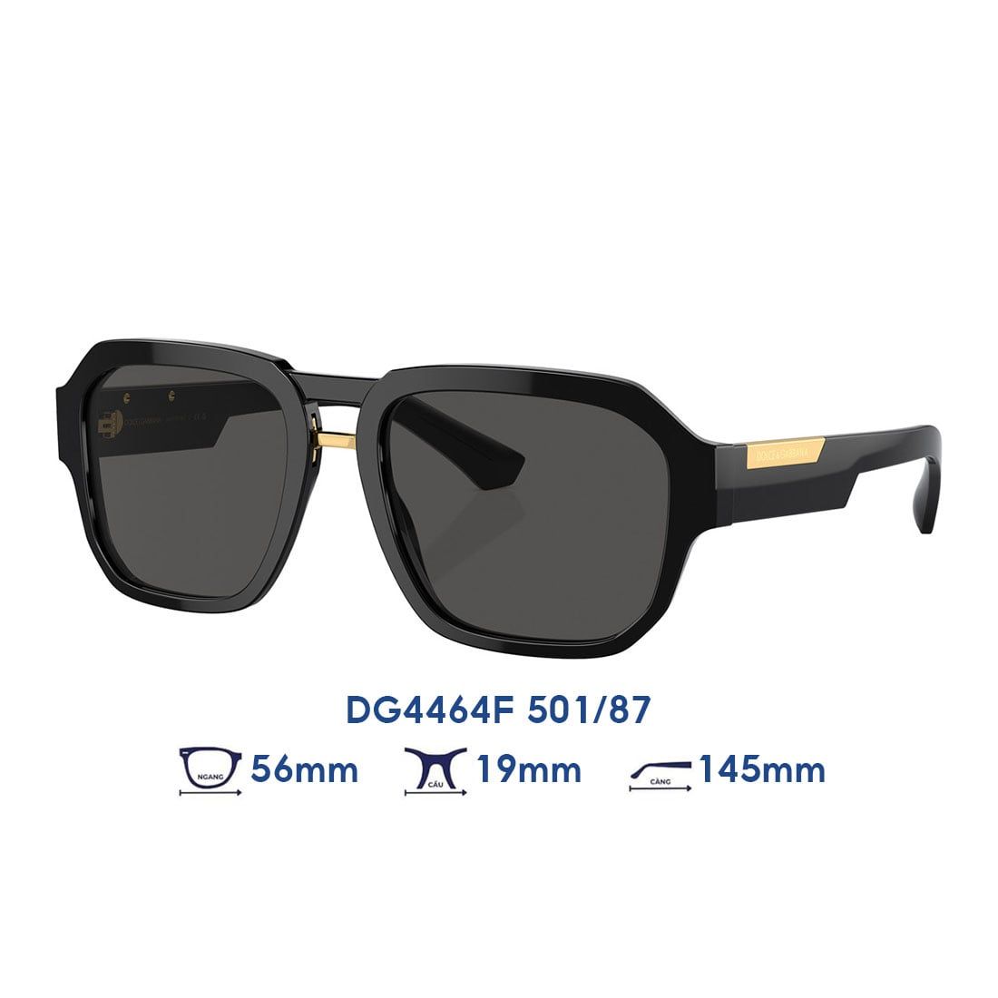 Kính mát Dolce & Gabbana DG4464F 501/87